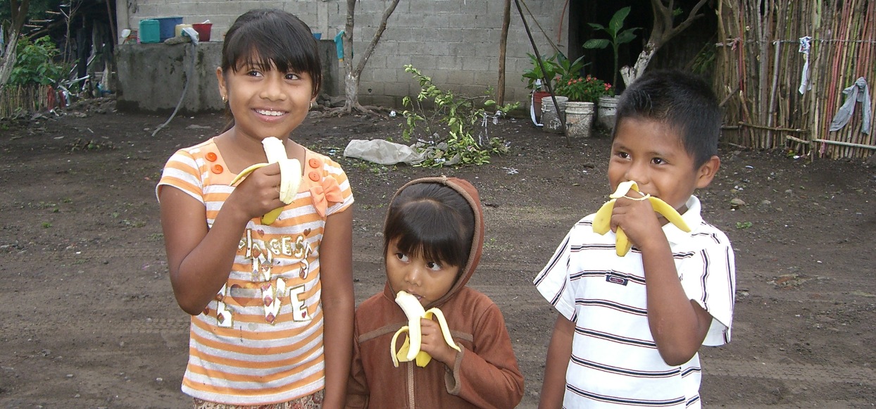 9 Healthy Benefits of Bananas Children Should Know